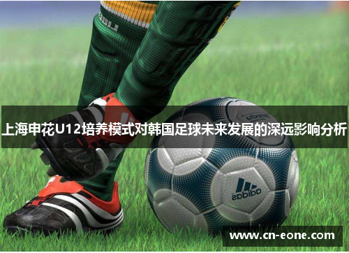 上海申花U12培养模式对韩国足球未来发展的深远影响分析
