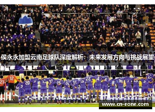 侯永永加盟云南足球队深度解析：未来发展方向与挑战展望