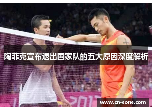 陶菲克宣布退出国家队的五大原因深度解析