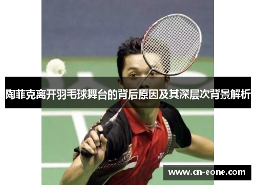 陶菲克离开羽毛球舞台的背后原因及其深层次背景解析