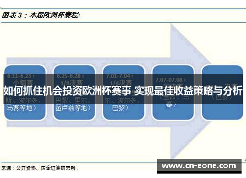 如何抓住机会投资欧洲杯赛事 实现最佳收益策略与分析